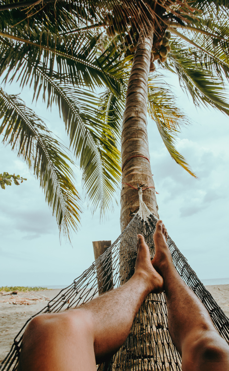 Beach Hammock White Sand